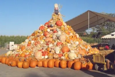 Squash tower