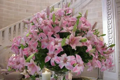 Pink lily arrangement, Umaid Bhawan Palace, India