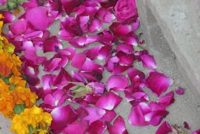 Dark pink and orange petals, Agra, India