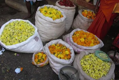 Bags of flowers, India jigsaw puzzle