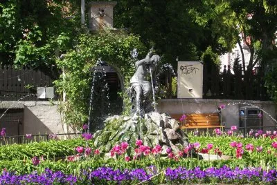 Tulips and fountain, Gotland, Sweden
