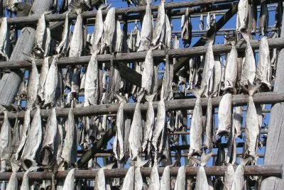 Fish drying, Lofoten, Norway jigsaw puzzle