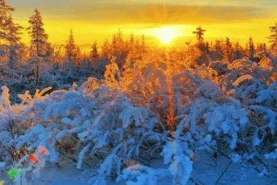 imagens jigsaw puzzle