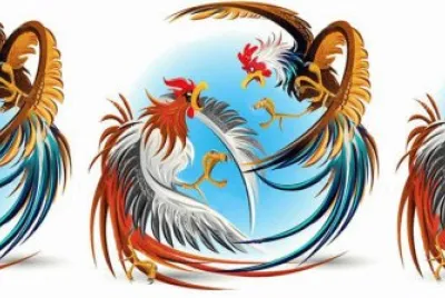 Pelea de gallo