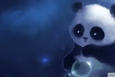 panda