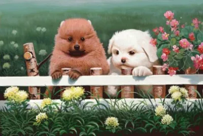 cÃ£ozinho