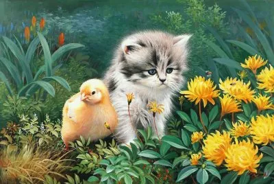 gatinhos jigsaw puzzle