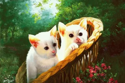 gatinhos