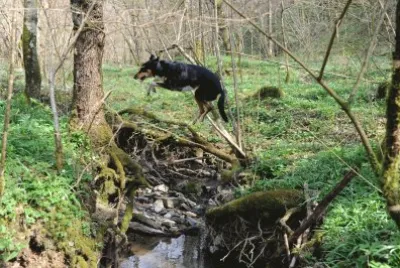 Tina 11 jigsaw puzzle