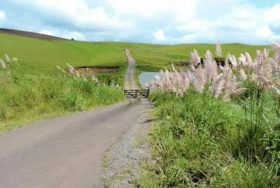 Pastagem jigsaw puzzle