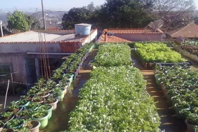 Horta de AgriÃ£o