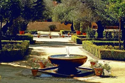 Andalus / Jerez