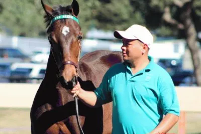 2016 Yearling Dark Bay Filly | By Capo Bastone