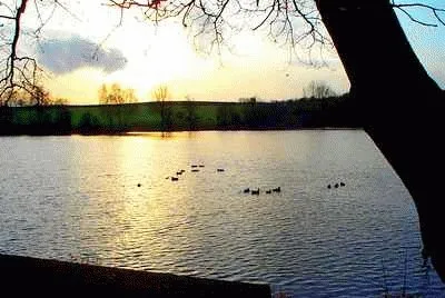 Osborne 's Pond, Shipley jigsaw puzzle