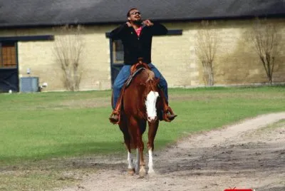 Quarter Horse