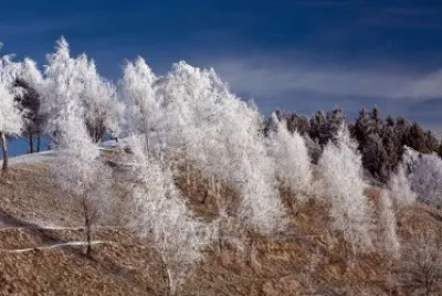 NATURALEZA jigsaw puzzle