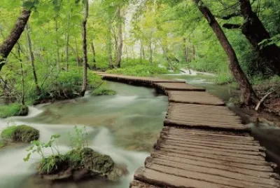 NATURALEZA jigsaw puzzle