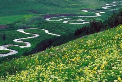 NATURALEZA jigsaw puzzle