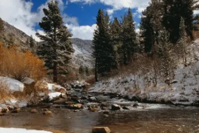 NATURALEZA jigsaw puzzle