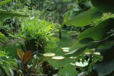 NATURALEZA jigsaw puzzle