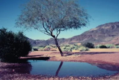 NATURALEZA jigsaw puzzle