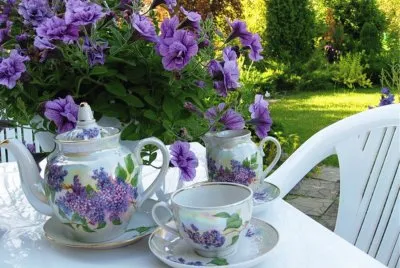 Garden Relaxation with Tea