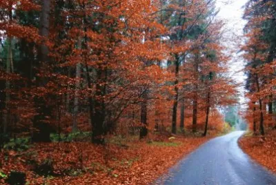 otoÃ±o
