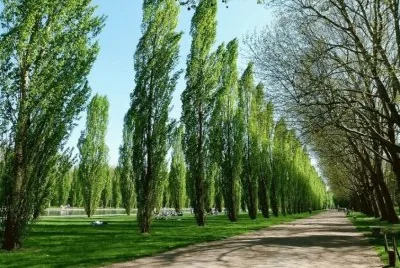 imagens jigsaw puzzle