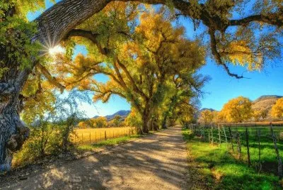 imagens jigsaw puzzle