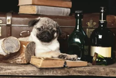 ANIMALES