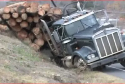 TRAILER CON TRONCOS