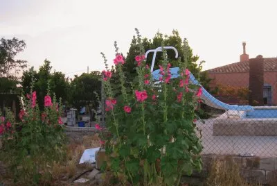 TEMPORADA DE BAÃ‘OS jigsaw puzzle