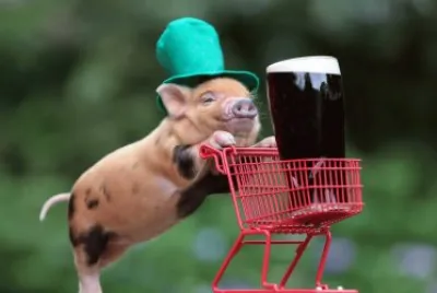 ANIMALES