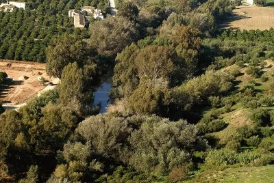 Andalus jigsaw puzzle