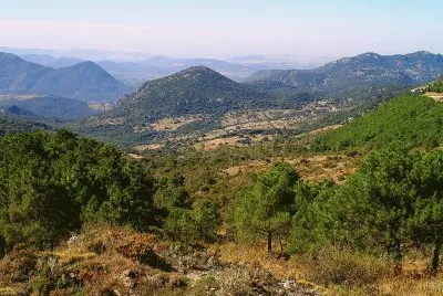 Andalus jigsaw puzzle