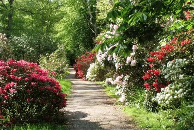 spring-160 jigsaw puzzle