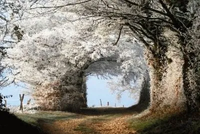 magical road jigsaw puzzle