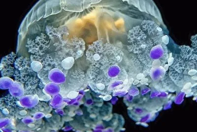 æ°´æ¯