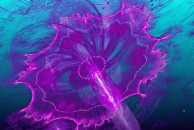 æ°´æ¯