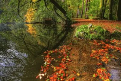 Mundo jigsaw puzzle