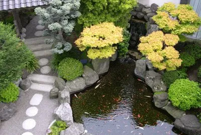 jardin japones
