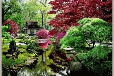 jardin japones jigsaw puzzle