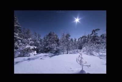 Noche de Luna desde un Bosque Nevado - Finlandia jigsaw puzzle