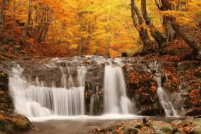 Mundo jigsaw puzzle