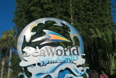 floride jigsaw puzzle