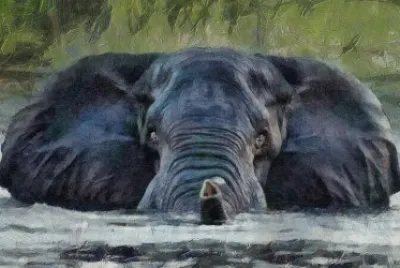 ANIMALES