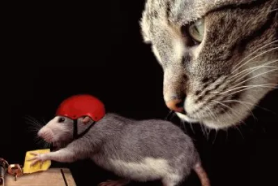 ANIMALES