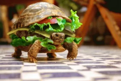 ANIMALES