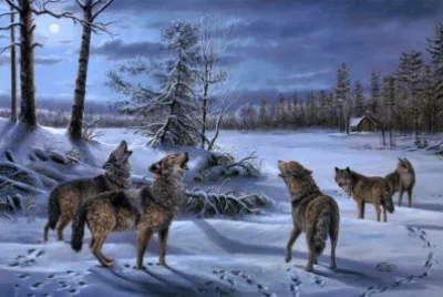 ANIMALES jigsaw puzzle