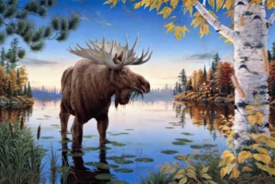 ANIMALES